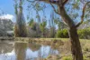 15 Jim Road, Newham, Vic 3442-Image
