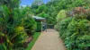 15 Kawana Street, Caravonica QLD 4878-Image