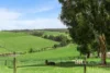 15 Knight Road, Gembrook, Vic 3783-Image