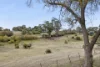 15 Lathlain Street, Clunes, Vic 3370-Image