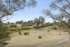 15 Lathlain Street, Clunes, Vic 3370-Image