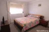 15 Lauder Street, Inverell, NSW 2360-Image