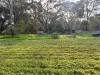 15 Lawrence Street, Dunolly, Vic 3472-Image