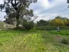 15 Lawrence Street, Dunolly, Vic 3472-Image