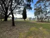15 Lawrence Street, Dunolly, Vic 3472-Image