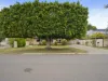 15 LIGHT ST, Shoalwater, WA 6169-Image