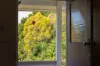 15 Macgregor Street, Woodend, Qld 4305-Image