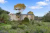 15 Main Street, Pine Point, SA 5571-Image