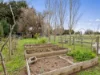 15 Main Street, Strathbogie, Vic 3666-Image