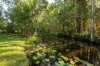 15 Mallee Close, Doonan, Qld 4562-Image