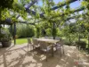 15 Martin Street, Silverleaves, Vic 3922-Image