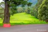 15 Martyr Road, Warburton, Vic 3799-Image