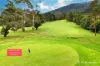 15 Martyr Road, Warburton, Vic 3799-Image
