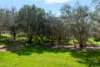 15 Mine Street, Armagh SA 5453-Image
