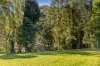 15 Mitchell Lane, Witta, Qld 4552-Image