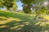 15 Mitchell Lane, Witta, Qld 4552-Image