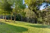 15 Mitchell Lane, Witta, Qld 4552-Image