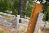 15 Morloc Street, Forest Hill, Vic 3131-Image