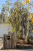15 Napa Street, Mount Duneed, Vic 3217-Image