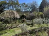 15 Neale St, Katoomba, NSW 2780-Image