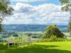 15 Northcott Drive, Goonellabah, NSW 2480-Image