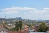 15 O'Donnell Street, North Bondi NSW 2026-Image