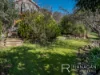 15 Paringa Avenue, Lanena, Tas 7275-Image