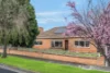 15 Peary Street, Belmont, Vic 3216-Image