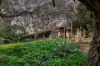 15 Peet Road, Roleystone, WA 6111-Image