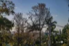 15 Perihelion Street, Coorparoo, Qld 4151-Image