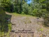 15 Pine Creek Yarrabah Road, East Trinity, Qld 4871-Image