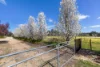 15 Poplar Road, Lake Albert, NSW 2650-Image