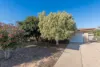 15 Powell Street, Berri, SA 5343-Image