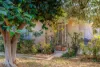 15 Powell Street, Berri, SA 5343-Image