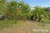 15 Proctors Road, Dynnyrne, Tas 7005-Image