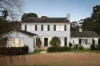 15 Rasmussen Drive, Templestowe, Vic 3106-Image
