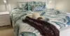 15 Retreat Close, Palm Cove, Qld 4879-Image