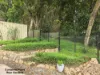 15 Retreat Close, Palm Cove, Qld 4879-Image