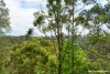 15 Robina Street, St Ives, NSW 2075-Image