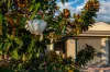 15 Rollins Place, Gordon, ACT 2906-Image