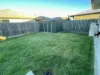 15 Roseleaf Crescent, Palmview, Qld 4553-Image