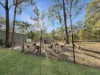 15 Rosella Avenue, Regency Downs, Qld 4341-Image