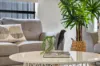 15 Saddlers Street, Kearneys Spring, Qld 4350-Image