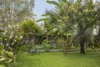 15 Seventeenth Avenue, Sawtell, NSW 2452-Image