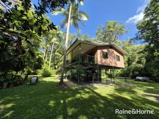 15 Silky Oak Road COW BAY, Daintree, Qld 4873