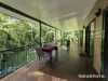15 Silky Oak Road COW BAY, Daintree, Qld 4873-Image