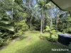 15 Silky Oak Road COW BAY, Daintree, Qld 4873-Image