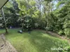 15 Silky Oak Road COW BAY, Daintree, Qld 4873-Image