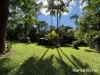 15 Silky Oak Road COW BAY, Daintree, Qld 4873-Image