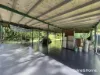 15 Silky Oak Road COW BAY, Daintree, Qld 4873-Image